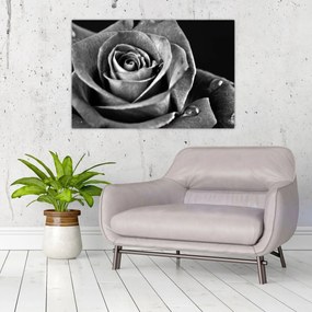 Tablou - Trandafir,alb-negru (90x60 cm)