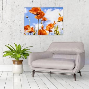 Tablou pe sticlă cu macii (70x50 cm)