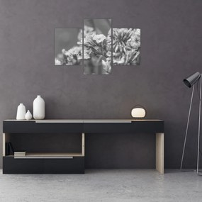 Tablou - Flori uscate (90x60 cm)