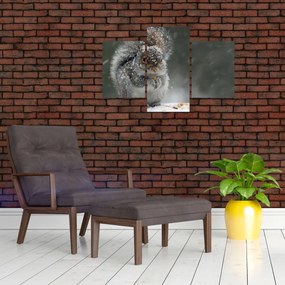 Tablou - Veveriță iarna (90x60 cm)