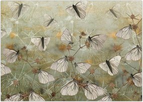 Tablou - Vintege fluturi (70x50 cm)