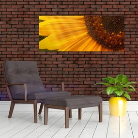 Tablou - Floarea-soarelui (120x50 cm)