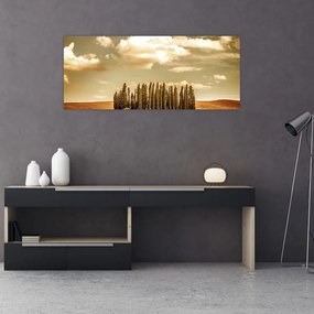 Tablou cu luncă (120x50 cm)