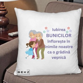 Cadou pentru Bunici - Perna Personalizata Bunicii Iubirea Infloreste Bunici cu Nepoata Colorat, 40x40 cm, Alb Pufos, Husa Detasabila, Perna Inclusa, BEKZ®