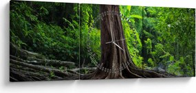 Tablou - Copac bătrîn cu rădăcini (cu ceas) (90x30 cm)