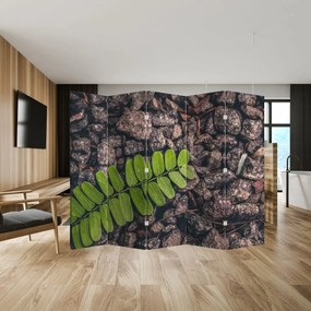 Paravan - Planta verde (210x170 cm)