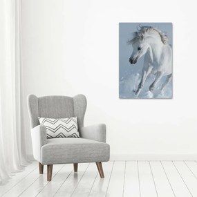 Tablou pe pe sticlă cal alb în galop