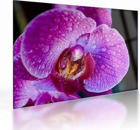Tablou pe sticlă detailat cu floare de orhidee (70x50 cm)