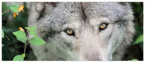 Tablou - Portret de lup (120x50 cm)