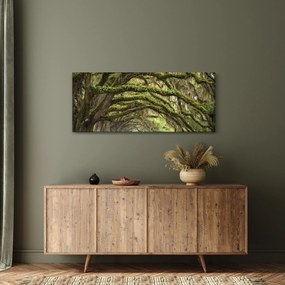 Tablou - Oaks Avenue, Charleston, Carolina de Sud, SUA (120x50 cm)
