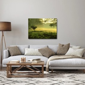 Tablou - Pădurea trezită (70x50 cm)