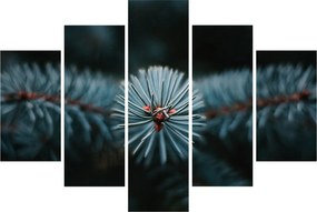 Tablou -Crenguțe ale unui conifer (150x105 cm)