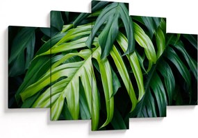 Tablou - Frunze tropicale (150x105 cm)