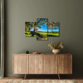 Tablou Privire la câmp (90x60 cm)