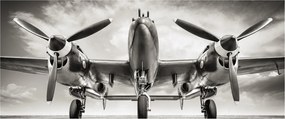 Tablou - Warbird (120x50 cm)