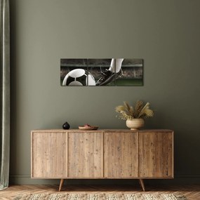 Tablou - Minge de fotbal (cu ceas) (90x30 cm)