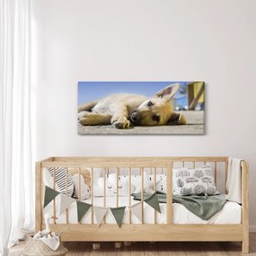 Tablou cu cățeluș dormind (120x50 cm)