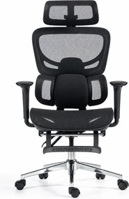 ErgoVanta Mesh — Scaun ergonomic, Suport lombar reglabil, Tetieră 2D, Cotiere reglabile, Mecanism cu blocare, Suport pentru picioare retractabil, Mesh, Negru