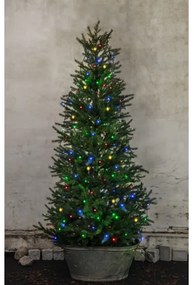 Instalație LED de Crăciun de exterior SERIE LED 160xLED 2m IP44 multicolor Eglo 410719