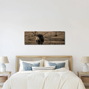Tablou - Vacă din Texas (cu ceas) (90x30 cm)