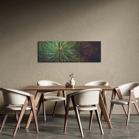Tablou - Pin (cu ceas) (90x30 cm)