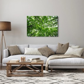 Tablou - privire în coroanele pomilor (90x60 cm)
