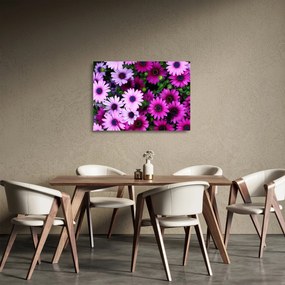 Tablou pe sticlă - Flori (70x50 cm)