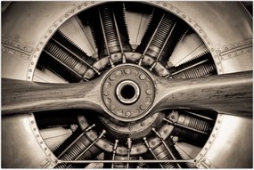 Tablou - Elice de aer (90x60 cm)