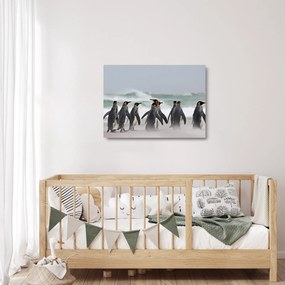 Tablou pe sticlă pinguini în ocean (70x50 cm)