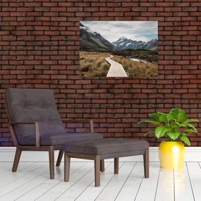Tablou - Poteca în valea muntelui Mt. Cook (70x50 cm)