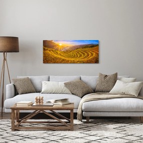 Tablou - Terasele de orez din Vietnam (120x50 cm)