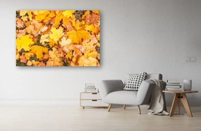 Tablou Canvas - Covorul de frunze