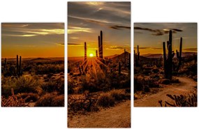 Tablou - Sfărșit de zi în deșertul Arizona (90x60 cm)