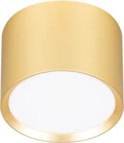 Brilagi - Spot LED RGB dimmabil SMOOTH 1xGX53/14W/230V Wi-Fi Tuya auriu