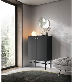 Dulap Desanta 2D (negru). 1082797