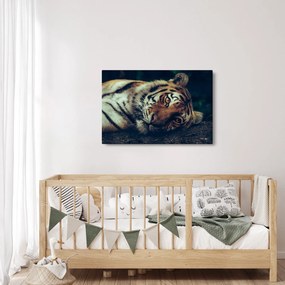 Tablou - Tigrul Siberian (90x60 cm)