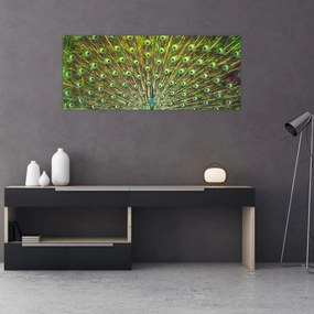 Tablou - Peacock (120x50 cm)