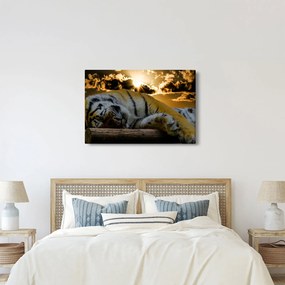 Tablou tigrul dormind (90x60 cm)