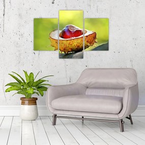 Tablou cu castani (90x60 cm)