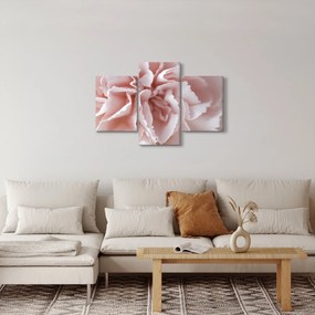 Tablou - Detaliu flori (90x60 cm)
