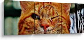 Tablou - Pisica suspicioasă (cu ceas) (90x30 cm)