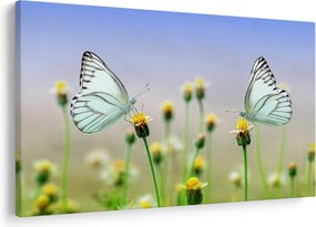 Tablou cu fluture pe floare (90x60 cm)