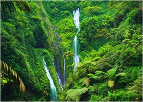 Tablou - Cascada Madakaripura, Java de Est, Indonezia (70x50 cm)