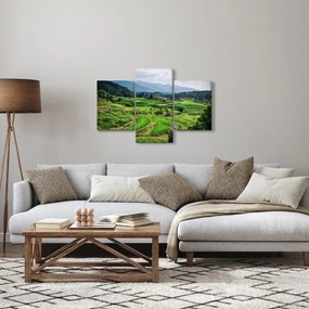 Tablou cu câmp de orez (90x60 cm)