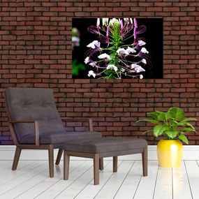 Tablou cu floare (90x60 cm)
