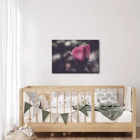 Tablou - Detaliu florii de trandafir (70x50 cm)