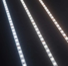 Banda 5 metri STRIP LED 19W 3000K CRI90 240 LED/m IP20