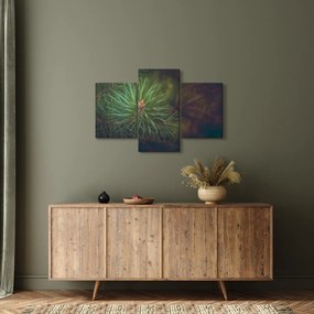 Tablou - Pin (90x60 cm)