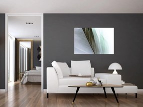 Tablou - Pene, macro (90x60 cm)