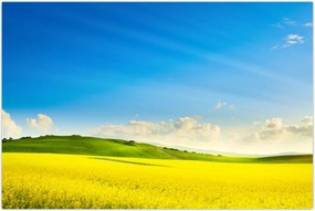 Tablou - Cerul de primăvară (90x60 cm)